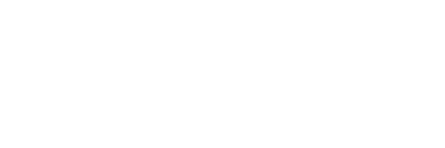 ConsultingTur